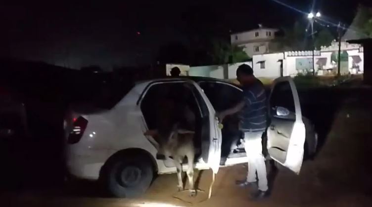 तेज रफ्तार कार को जब पुलिस ने रोका तो फटी रह गईं आंखें